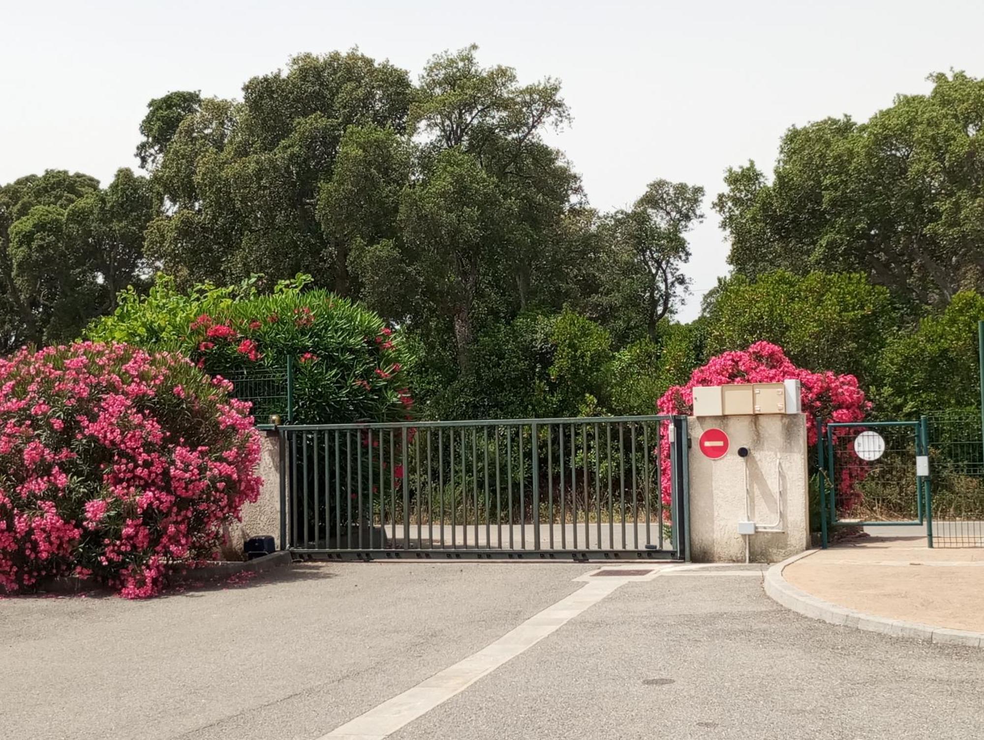 Villa Climatisee A Nuciola Prunete Entre Mer, Montagne Et Piscine Cervione Exterior foto